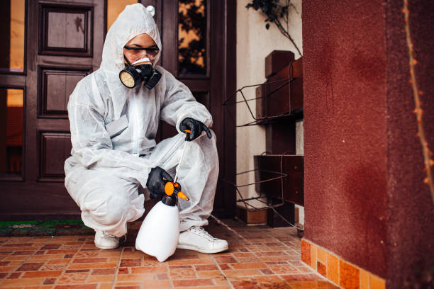 Reliable Wasp Removal contractor in Blandon, PA by Show Me Pest Control